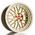 LeMans Gold LeMans Gold