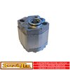SteyrTek Gear pump f...