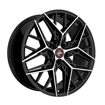 "KT25 Black Front Polish