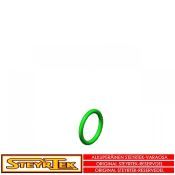 "Palteenirottimen sylinterin tiivisterengas