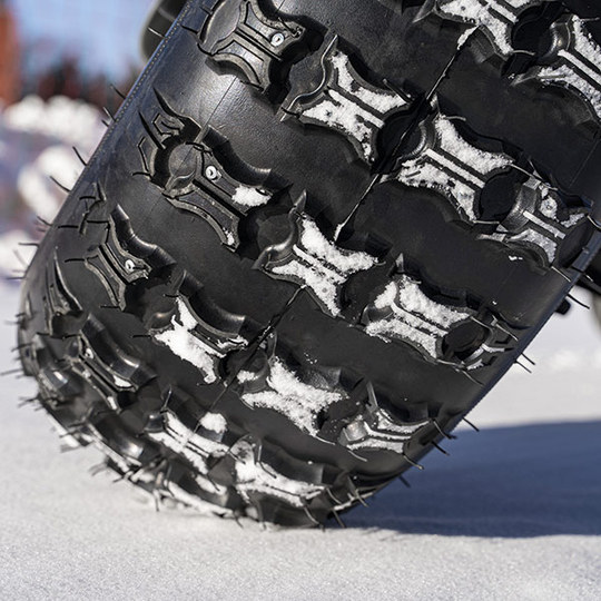  Winter tyre with studs 220/55-8 Image: 1