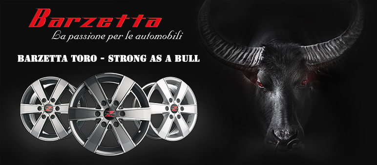 Barzetta Toro - Strong as a bull