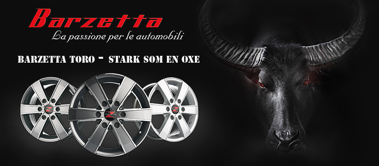 Barzetta Toro - stark som en oxe
